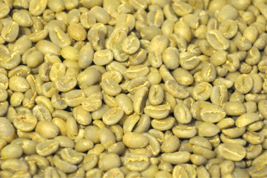 ジニス・エチオピアの生のコーヒー豆